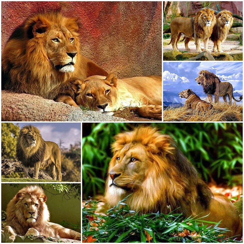 Amazello Arts & Crafts 5D Diamind Painting Mini Lion Collection