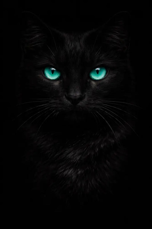 5DDPaints.com home decor Gothic Black Cat Diamond Painting – Glowing Eyes Edition