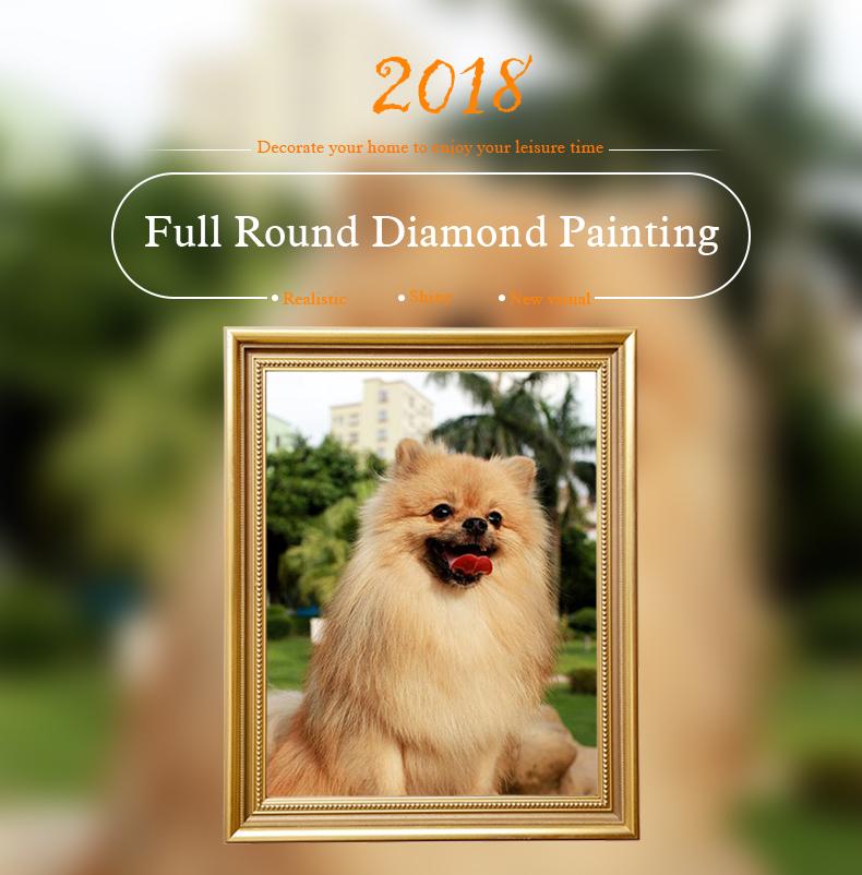 Amazello home decor 5D Diamond Painting Pomeranian