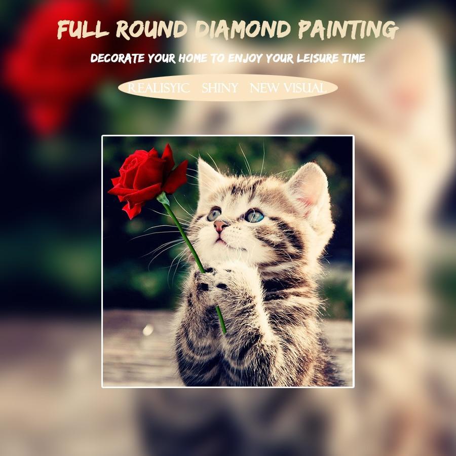 Amazello home decor 5D Diamond Painting Vintage Cat with a Rose