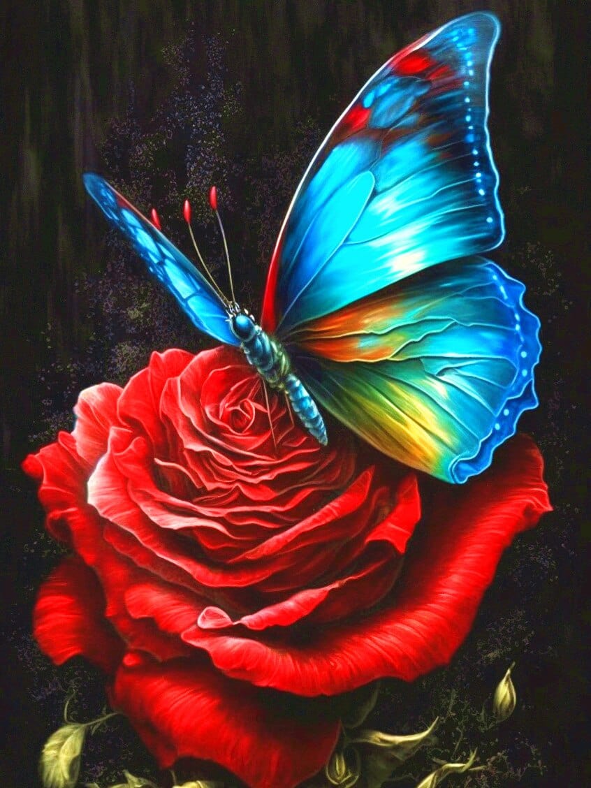 Amazello arts and crafts kit 2447 / Square Drill 20x30cm 5D Diamond Painting Beautiful Butterfly on a Rose