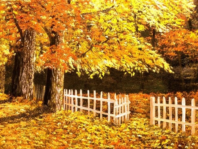 Amazello arts and crafts kit 2199 / Full Square 20X30cm 5D Diamond Painting Fall Path Mini Collection