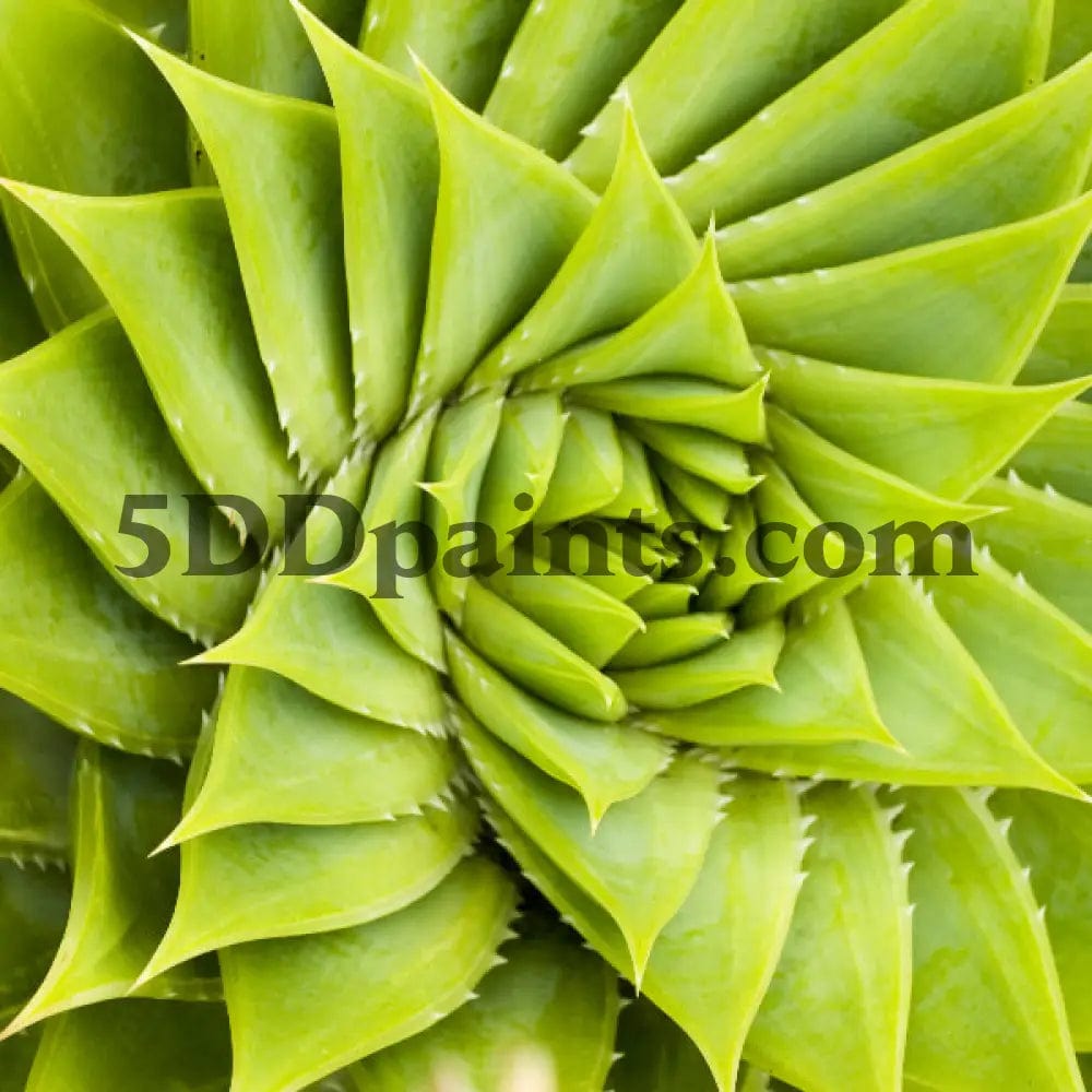 Amazello decoration 5D Diamond Painting Green Cactus Swirl