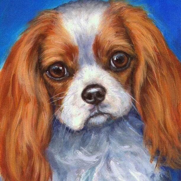 Amazello arts and crafts kit 3727 / Square Drill 20x20cm 5D Diamond Painting King Charles Spaniel