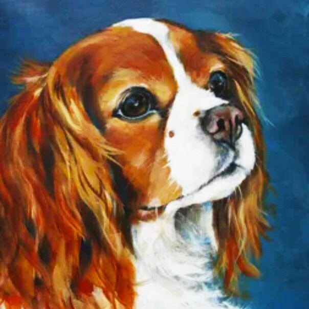 Amazello arts and crafts kit 3729 / Square Drill 20x20cm 5D Diamond Painting King Charles Spaniel