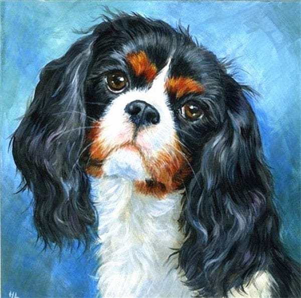 Amazello arts and crafts kit 3728 / Square Drill 20x20cm 5D Diamond Painting King Charles Spaniel