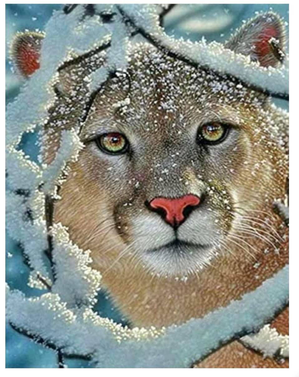 Amazello decoration 5D Diamond Painting Lion in the Snow