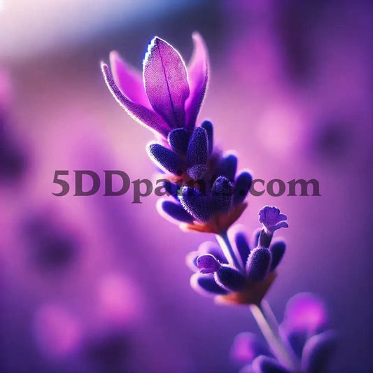 5D Diamond Painting Single Lavendar Arts And Crafts Kit