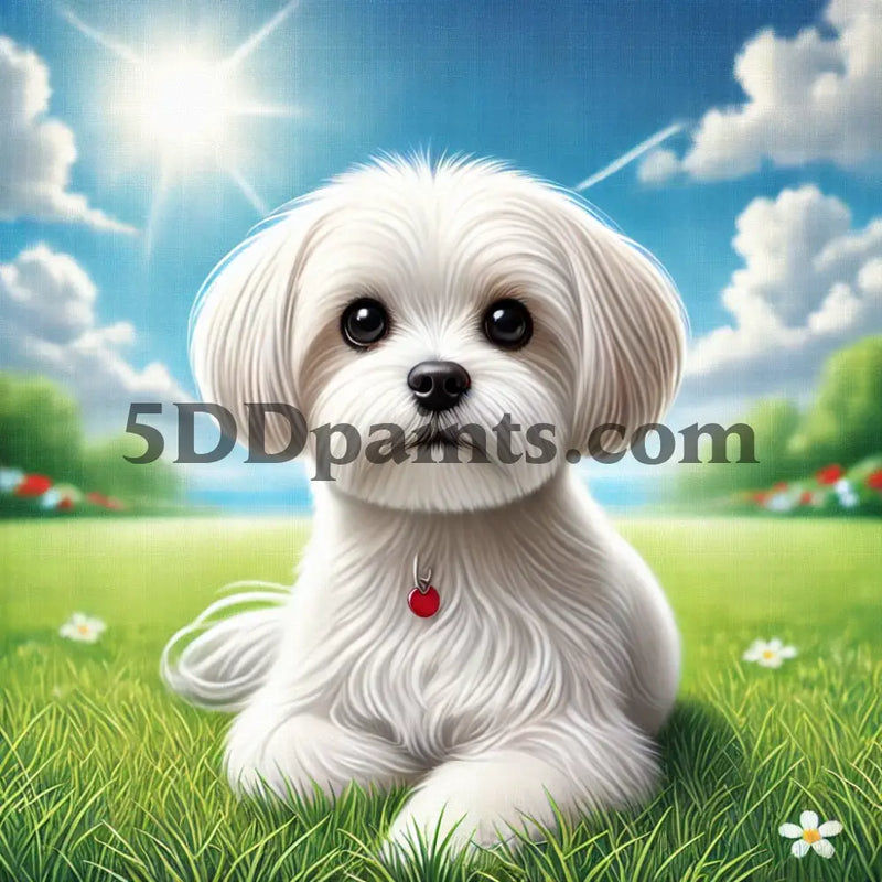 5D Diamond Painting Sunny Day Maltese Arts And Crafts Kit