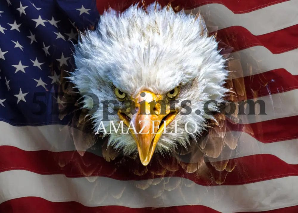 Amazello decoration 5D Diamond Painting US Flag Warrior Eagle