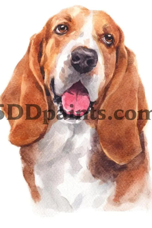 Amazello Art & Craft Kits Bassett Hound / 20 x 30 5D Diamond Painting Watercolor Dog