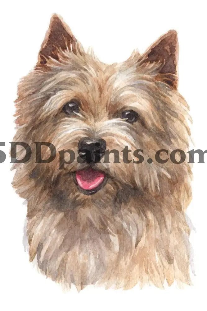 Amazello Art & Craft Kits Norwich Terrier / 20 x 30 5D Diamond Painting Watercolor Dog