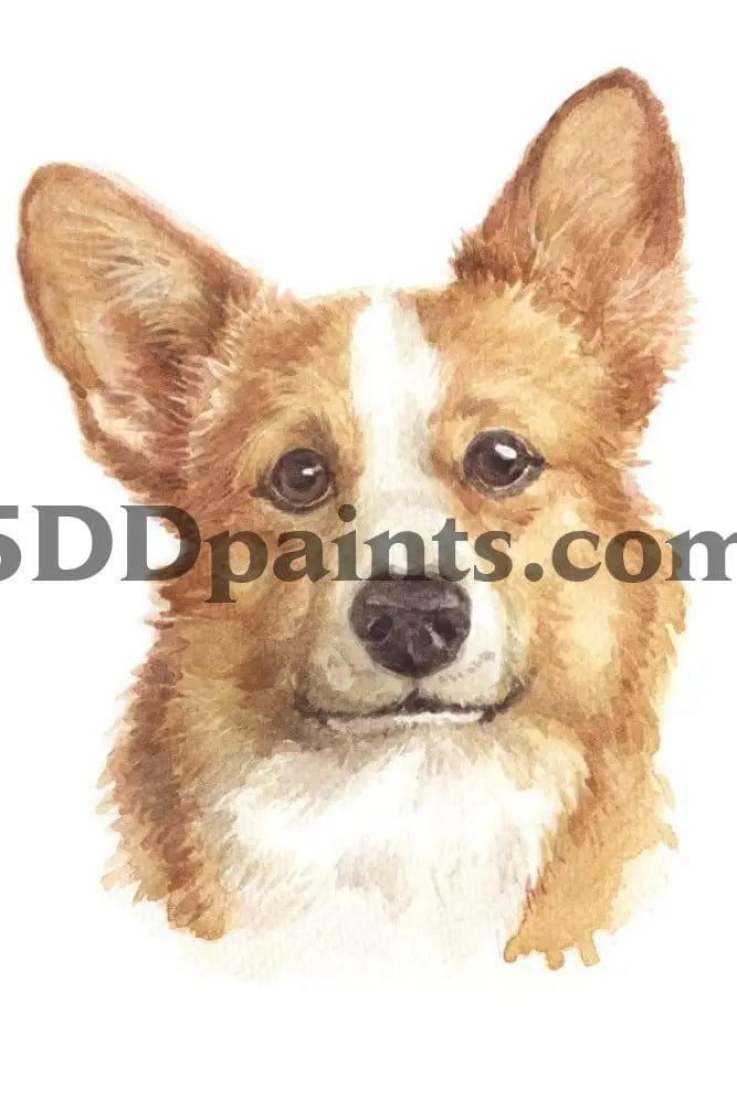 Amazello Art & Craft Kits Corgi / 20 x 30 5D Diamond Painting Watercolor Dog