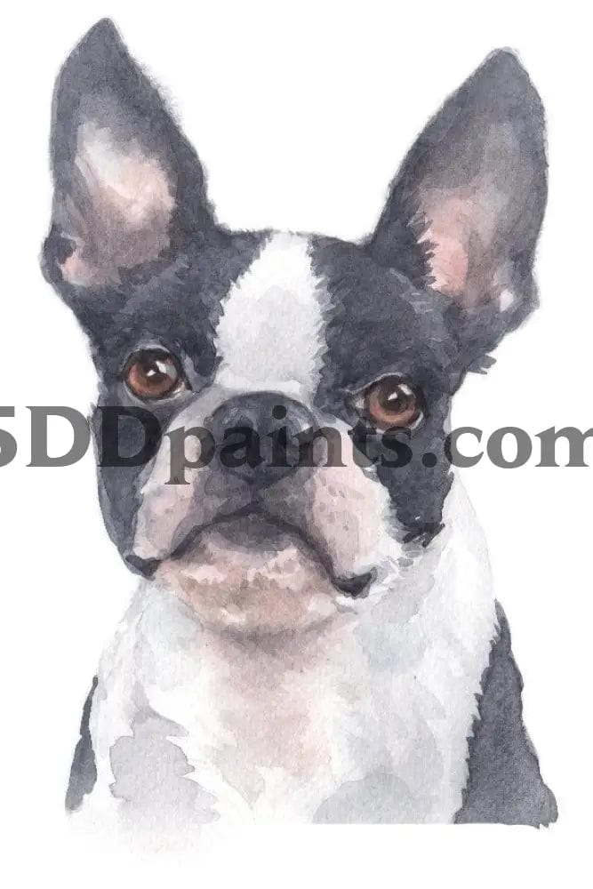 Amazello Art & Craft Kits French Bulldog / 20 x 30 5D Diamond Painting Watercolor Dog