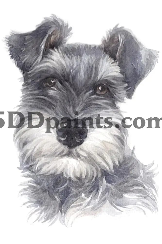 Amazello Art & Craft Kits Schnauzer / 20 x 30 5D Diamond Painting Watercolor Dog