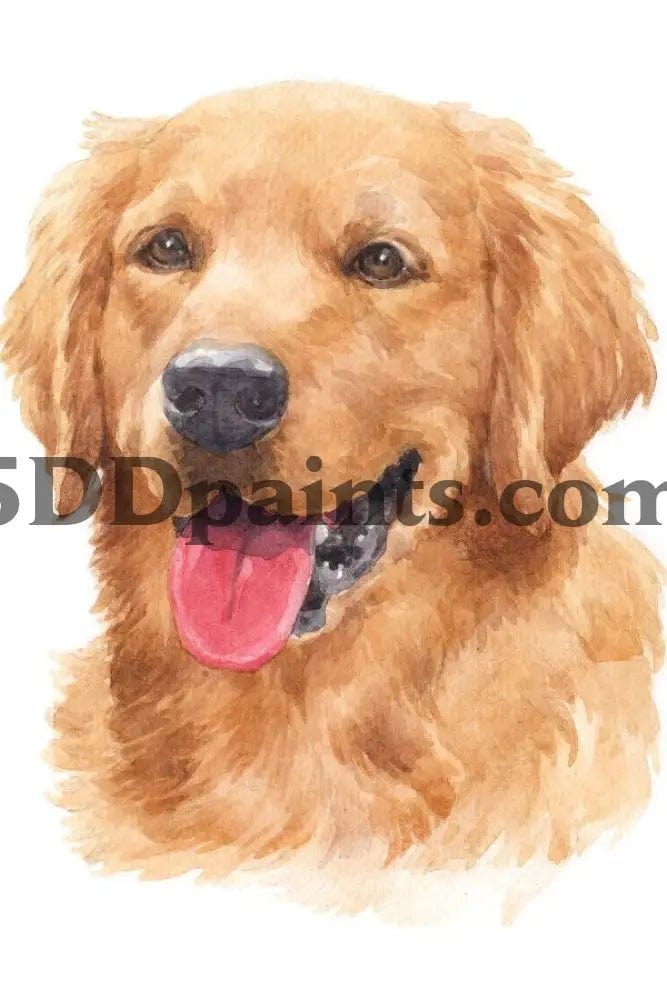 Amazello Art & Craft Kits Golden Retriever / 20 x 30 5D Diamond Painting Watercolor Dog