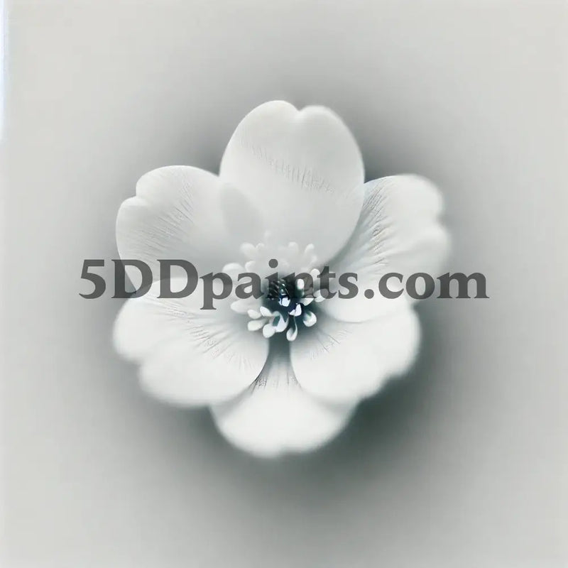 5D Diamond Painting White Flower Arts And Crafts Kit