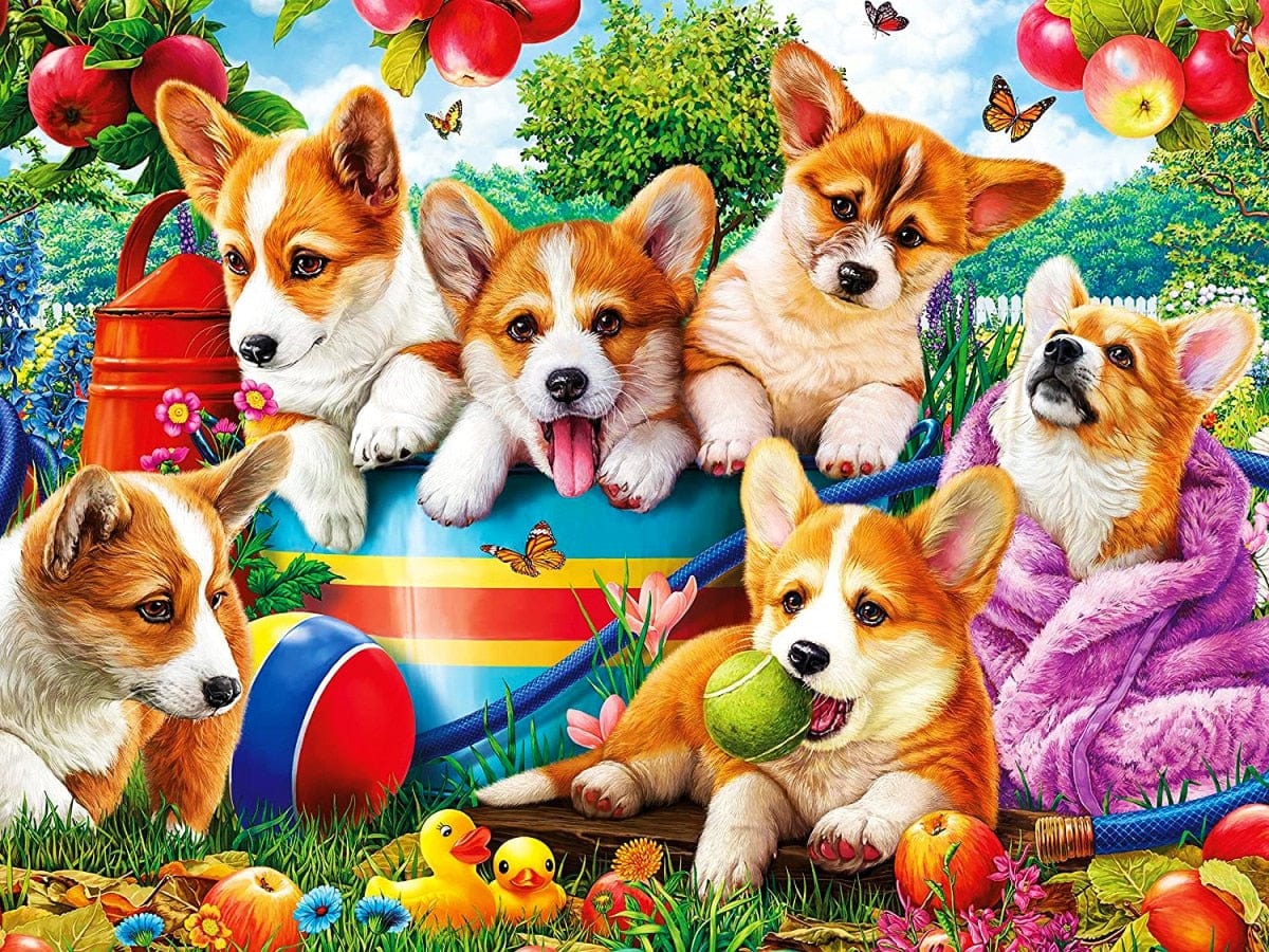 Amazello arts and crafts kit 524-AB / Full Square 20X30cm 5D Diamond Painting Corgi Puppies