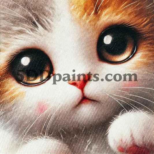 5DDPaints.com Art & Craft Kits Fluffy Kitten - Beginner's Diamond Painting Kit