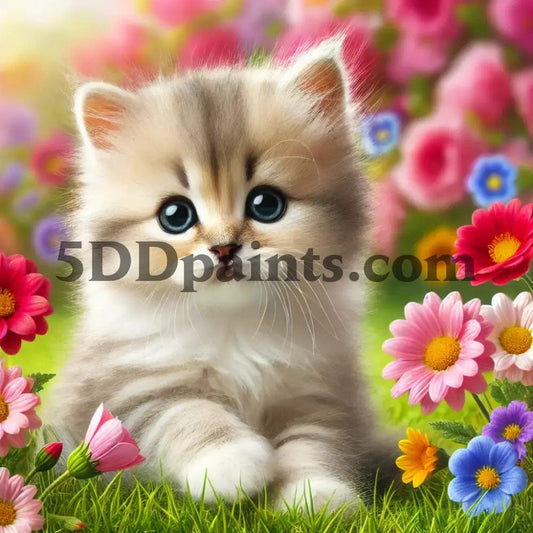 5DDPaints.com arts and crafts kit Fluffy Kitten in Bloom Diamond Painting Kit