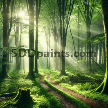 5DDPaints.com arts and crafts kit Forest Path Diamond Painting Kit
