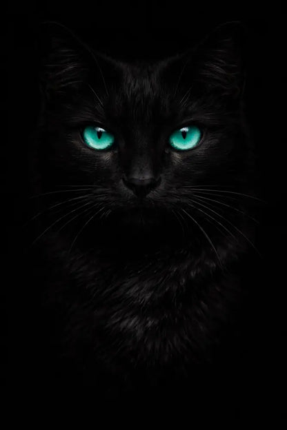 5DDPaints.com home decor Gothic Black Cat Diamond Painting – Glowing Eyes Edition