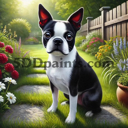 5DDPaints.com arts and crafts kit Loyal Companion in the Garden – Boston Terrier Diamond Painting Kit