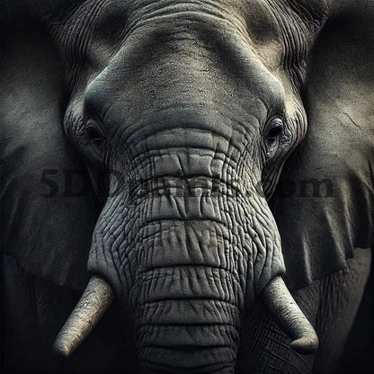 5DDPaints.com Art & Craft Kits Majestic Beasts: The Wildlife Portrait Collection (50X50cm)