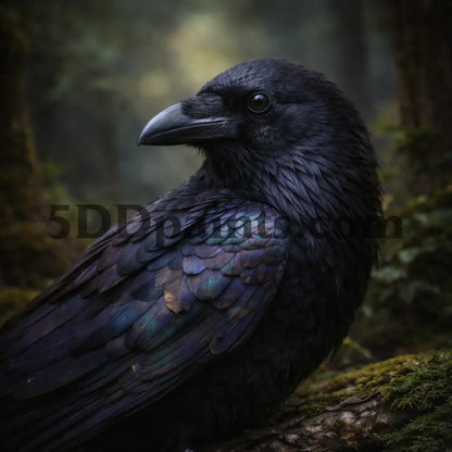 5DDPaints.com arts and crafts kit Mystic Forest Raven Diamond Painting Kit
