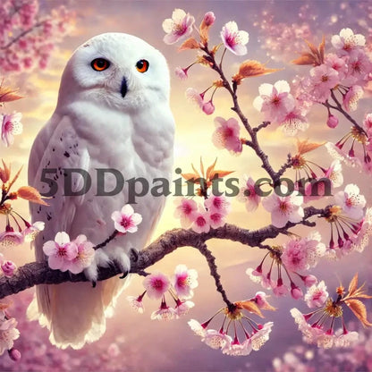 5DDPaints.com arts and crafts kit Sakura Snowy Owl Diamond Painting Kit