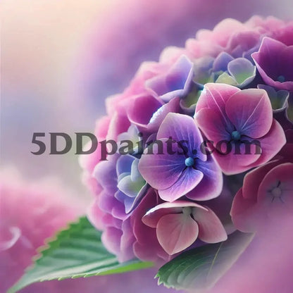 Amazello watermarking images section