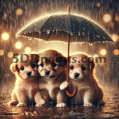 Amazello watermarking images section