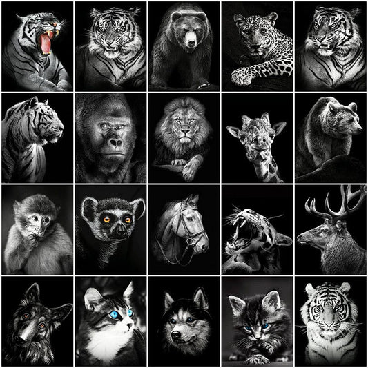 Amazello arts and crafts kit 5D Diamond Painting Black and White Animals **Round Drills Only**