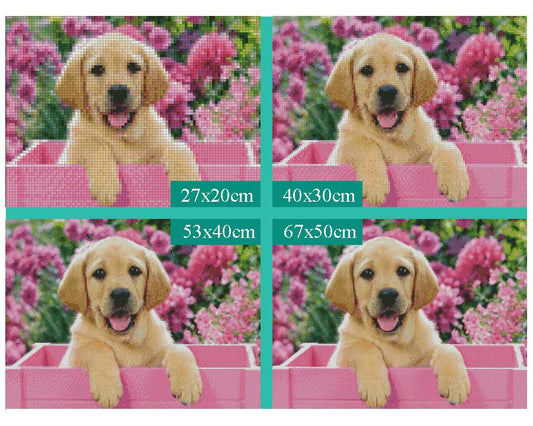 Amazello home decor 5D Diamond Painting Cute Dog and Flower