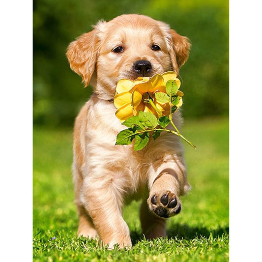 Amazello home decor 5D Diamond Painting Cute Labrador Pup