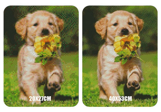 Amazello home decor 5D Diamond Painting Cute Labrador Pup