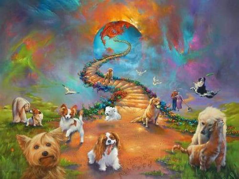 Amazello home decor 5D Diamond Painting Dogs Stairway to Heaven