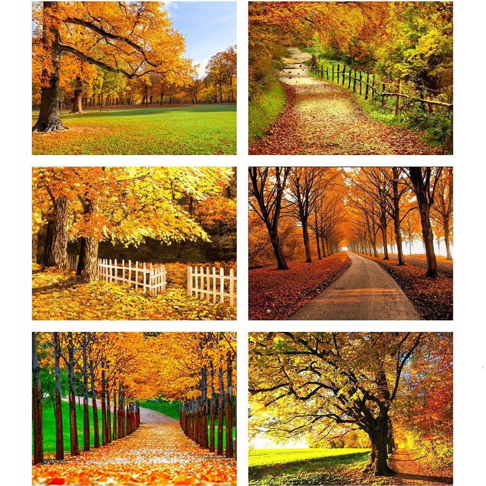 Amazello arts and crafts kit 5D Diamond Painting Fall Path Mini Collection