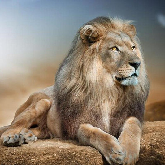 Amazello home decor 5D Diamond Painting Leo the Lion
