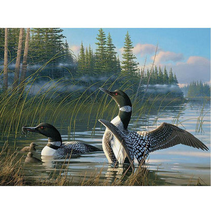 Amazello home decor 5D Diamond Painting Loons
