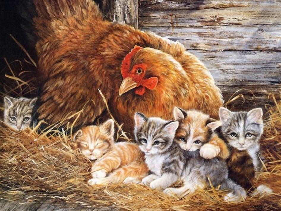 Amazello home decor 5D Diamond Painting Mommy Chicken and Baby Kitten