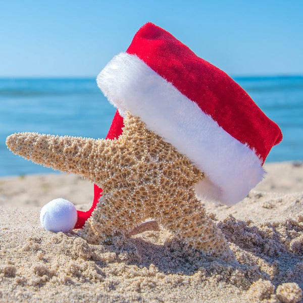Amazello christmas decoration 5D Diamond Painting Sea Star on Christmas