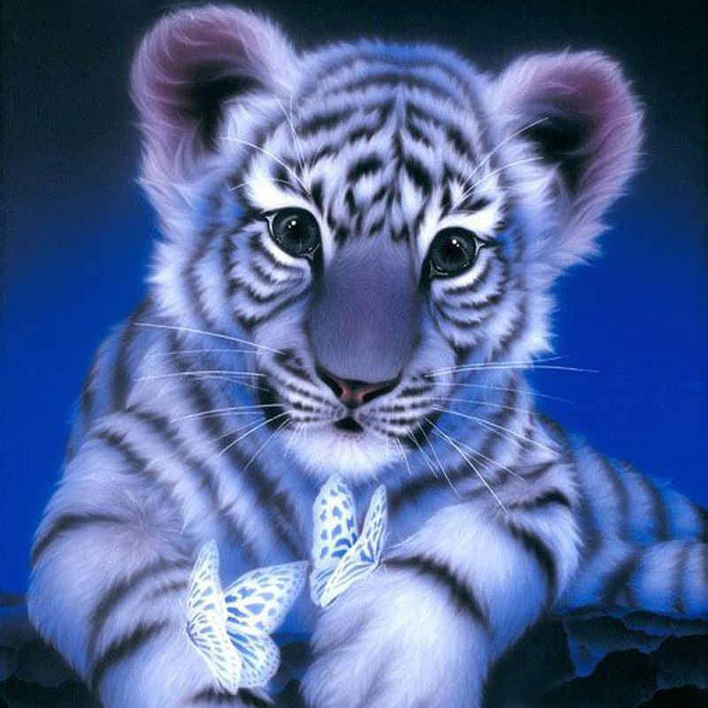 Amazello home decor 5D Diamond Painting Tiger and Butterfly