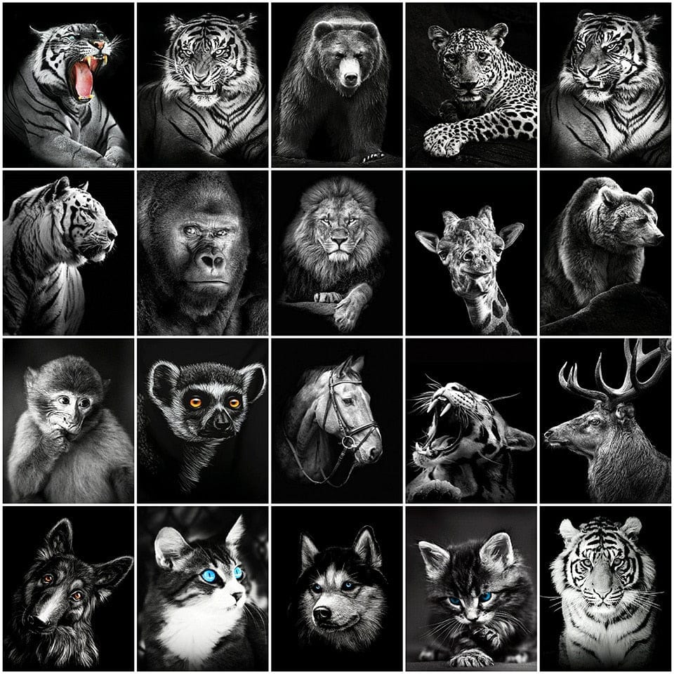 Amazello arts and crafts kit 5D Diamond Painting Black and White Animals **Square Drills Only**