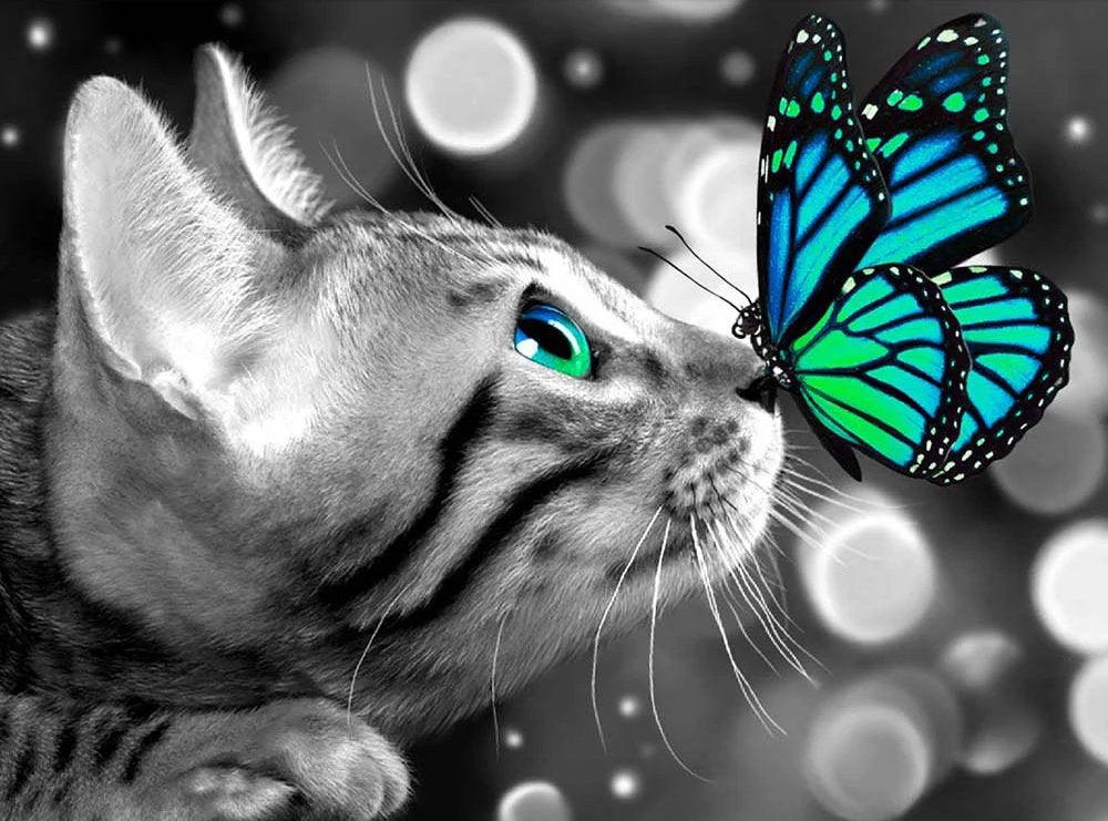 5D Diamond Painting Kitty with Her Butterfly