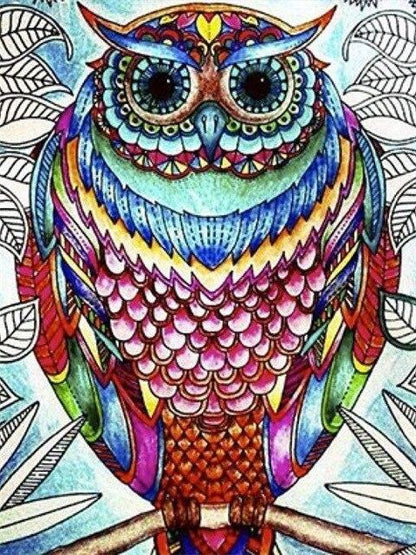 Amazello decoration SZHC4-4335 / 40x50cm No Frame Paint by Numbers Owl Mini Collection