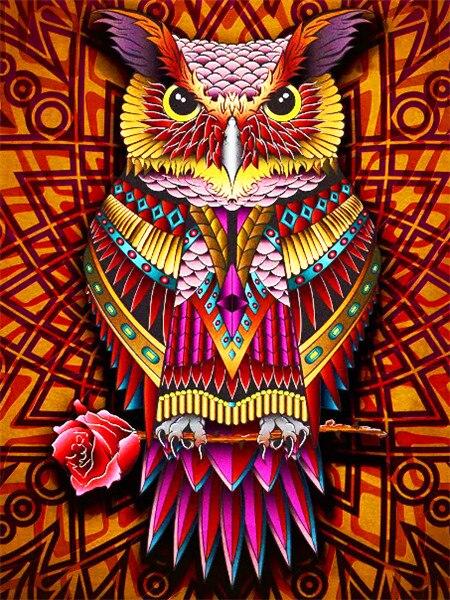 Amazello decoration SZHC4-4340 / 40x50cm No Frame Paint by Numbers Owl Mini Collection