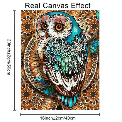 Amazello decoration Paint by Numbers Owl Mini Collection