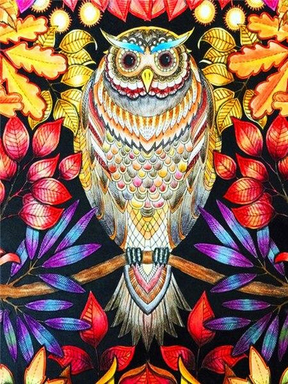 Amazello decoration SZHC4-4338 / 40x50cm No Frame Paint by Numbers Owl Mini Collection