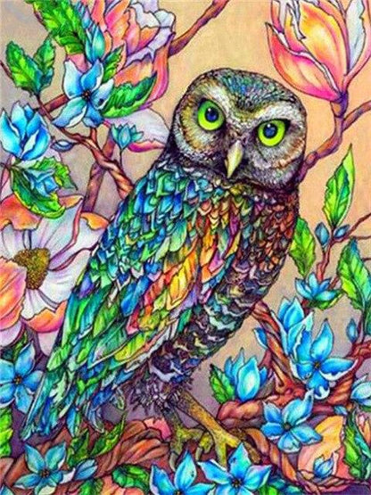 Amazello decoration SZHC4-4334 / 40x50cm No Frame Paint by Numbers Owl Mini Collection